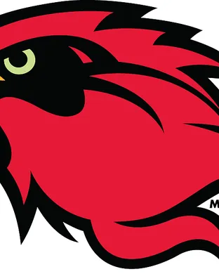 Lamar Cardinals Football Lafayette